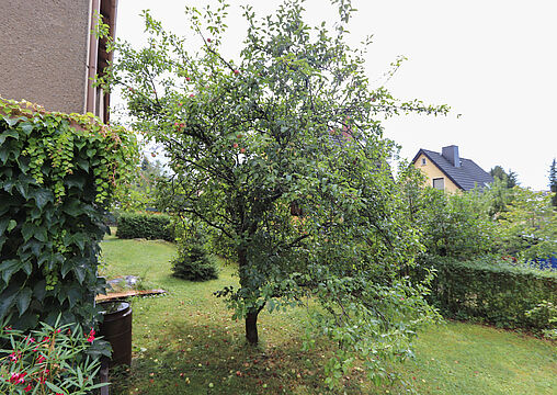 Garten Garten