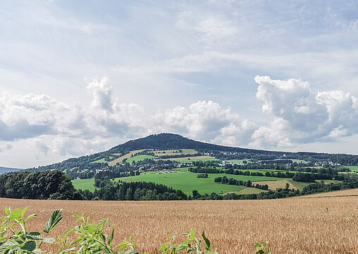 Blick zum Pöhlberg Blick zum Pöhlberg