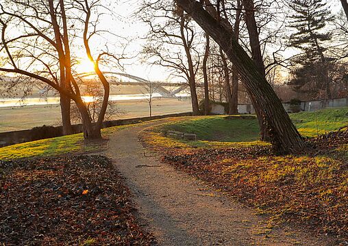 Park Park