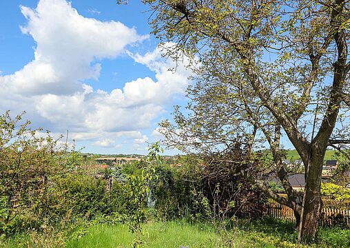 Blick Blick