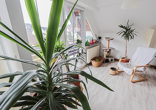 Balkon Balkon