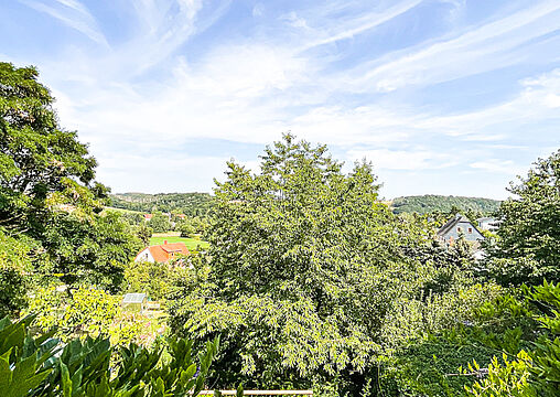 Ausblick