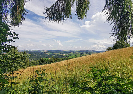 östlich angrenzende Wiese östlich angrenzende Wiese