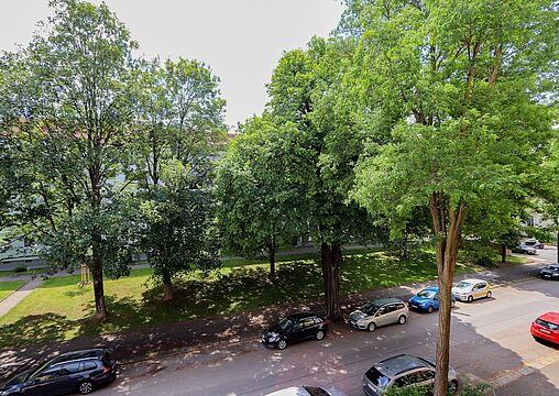 Ausblick