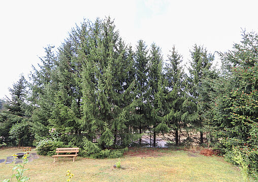 Garten Garten