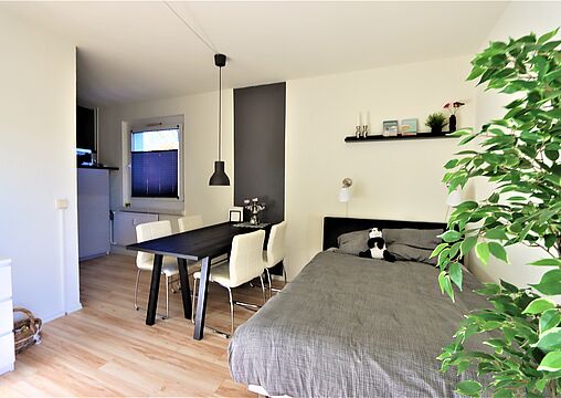 Wohn-/ Schlafzimmer Wohn-/ Schlafzimmer