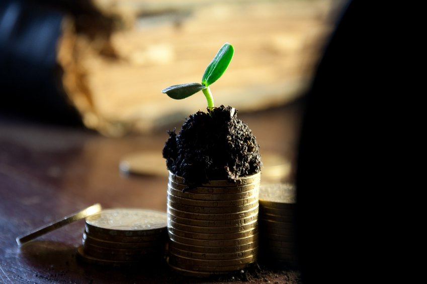 Pflanze auf Geld - Kapitalanlage kaufen Wachstum